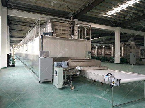 柔性材料加工设备 使用粉丝加工设备生产，这些关键问题不容忽视